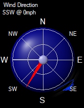 vws295.jpg (9187 bytes)